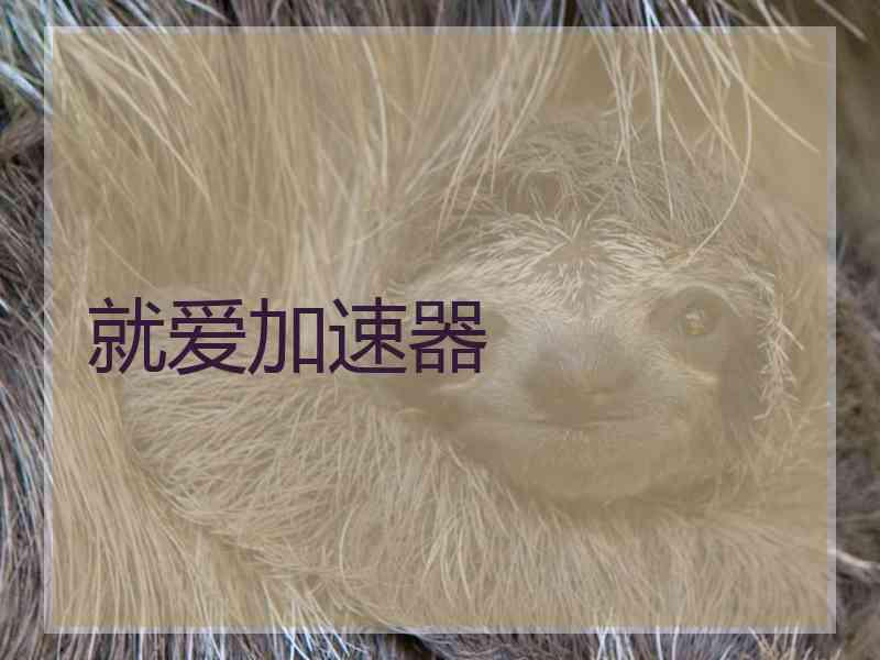 就爱加速器