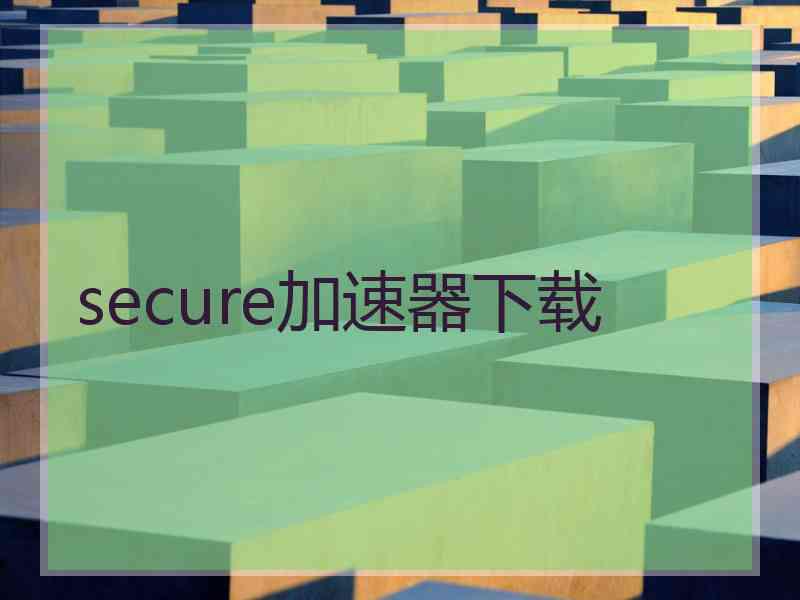 secure加速器下载