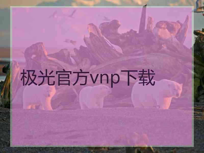 极光官方vnp下载