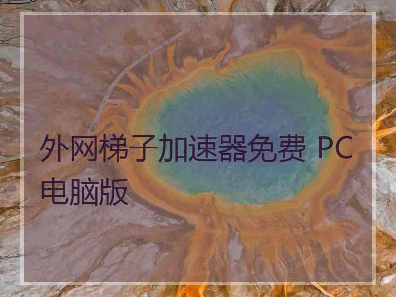 外网梯子加速器免费 PC电脑版