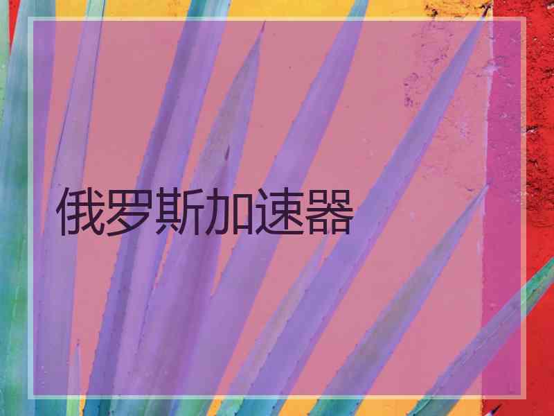 俄罗斯加速器