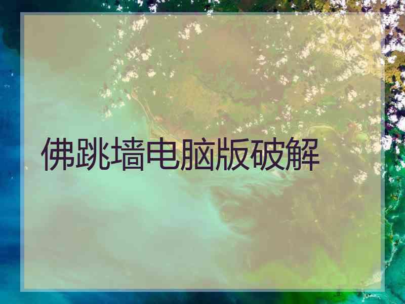 佛跳墙电脑版破解