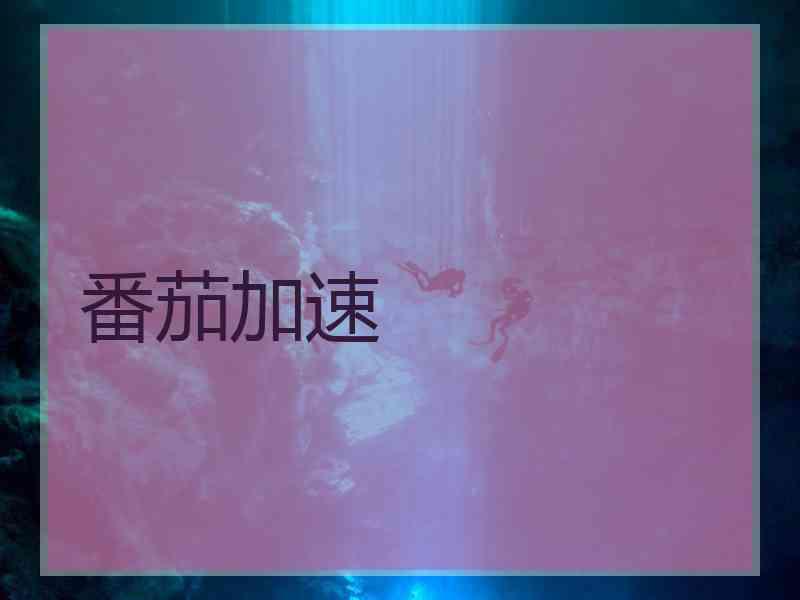番茄加速