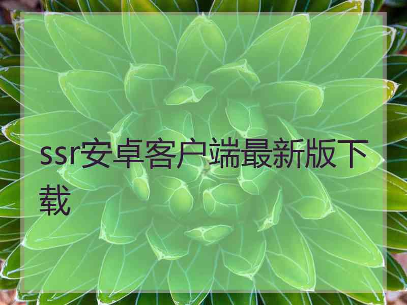 ssr安卓客户端最新版下载