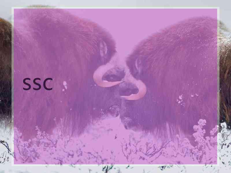 ssc