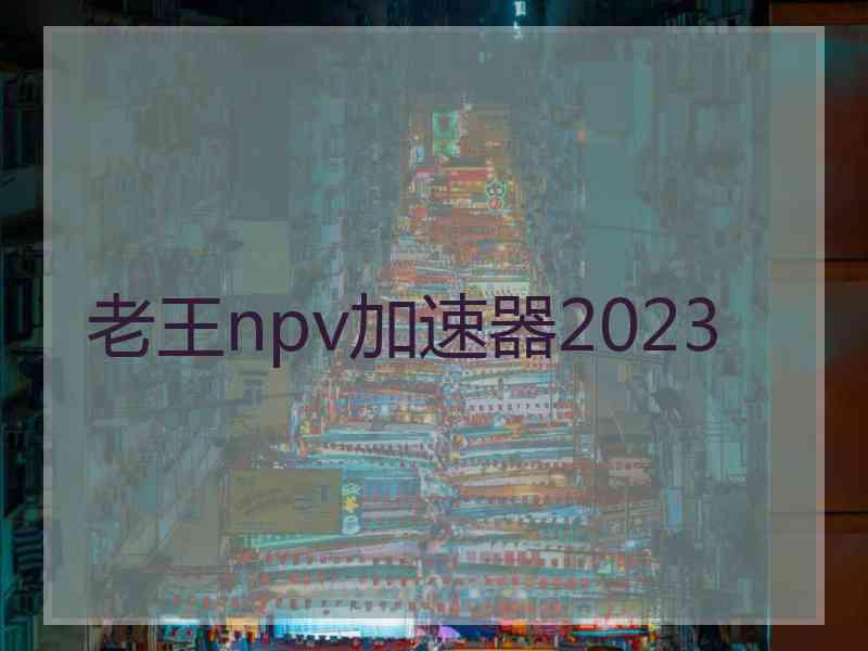 老王npv加速器2023