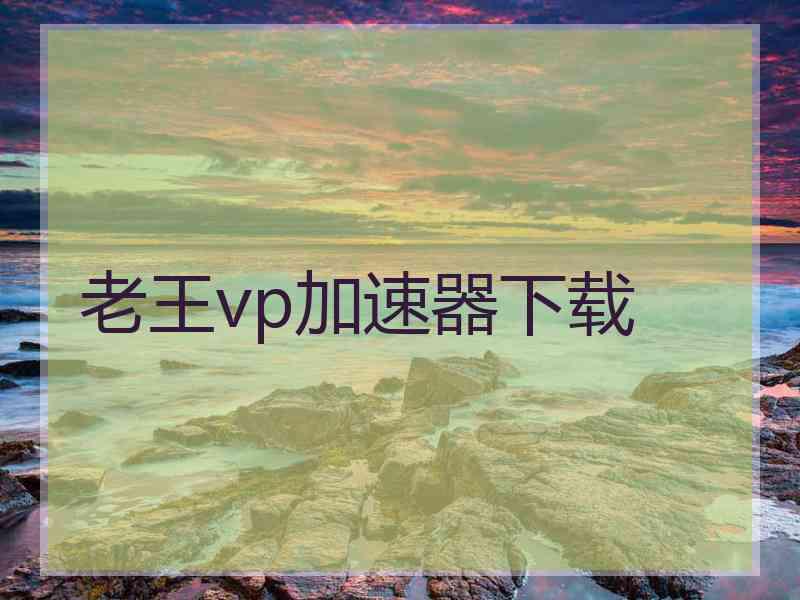 老王vp加速器下载