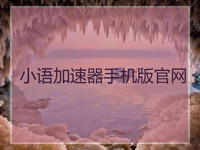 小语加速器手机版官网
