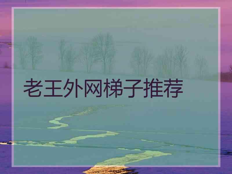 老王外网梯子推荐