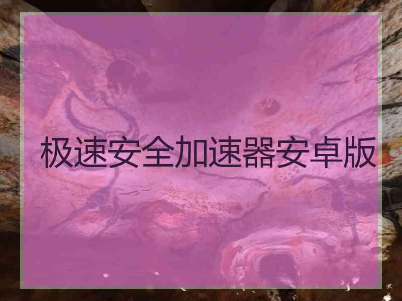 极速安全加速器安卓版