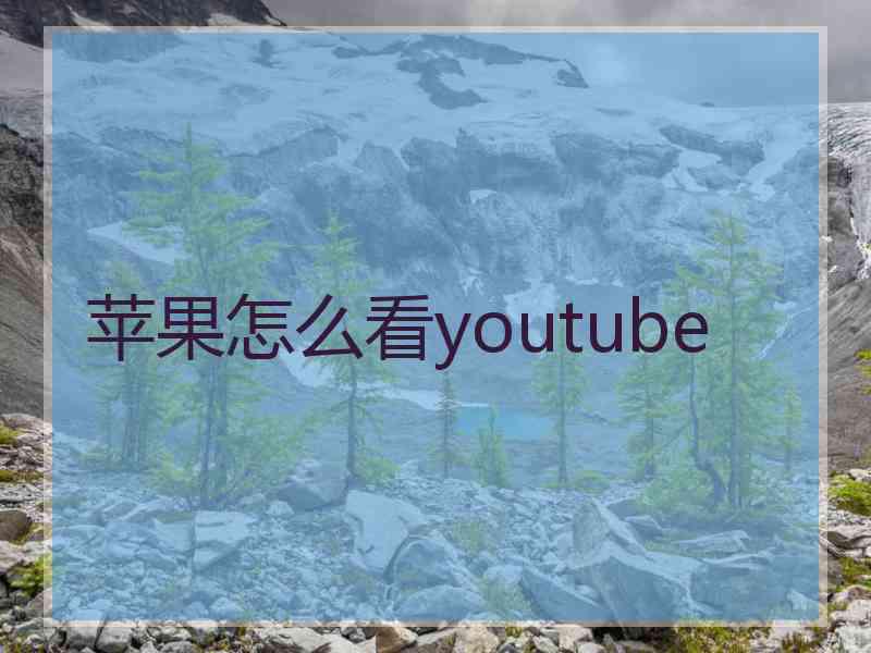 苹果怎么看youtube
