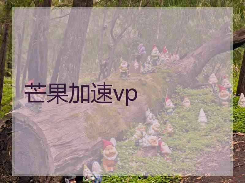 芒果加速vp