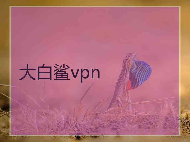 大白鲨vpn