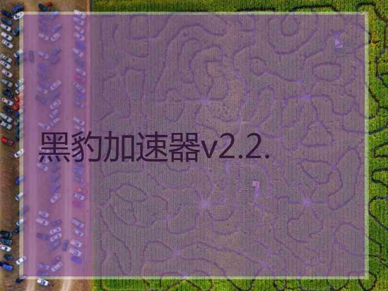 黑豹加速器v2.2.