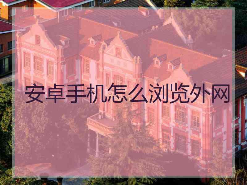 安卓手机怎么浏览外网