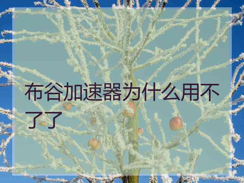 布谷加速器为什么用不了了