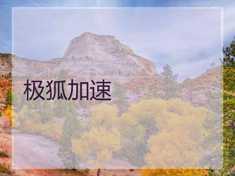 极狐加速