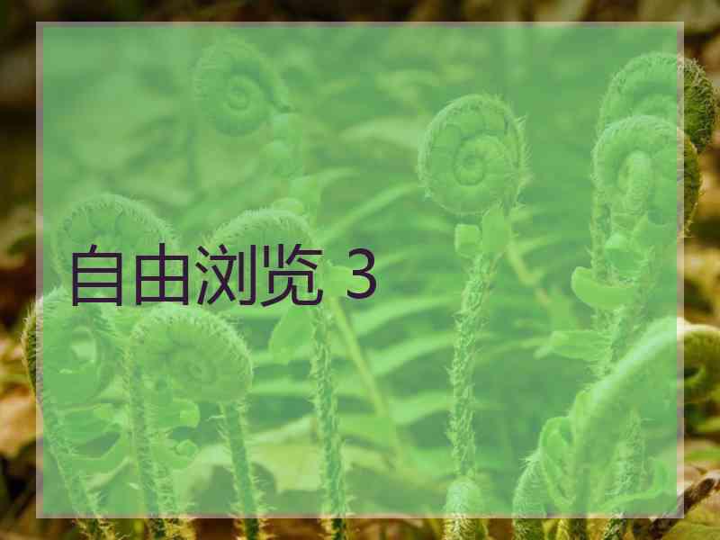 自由浏览 3