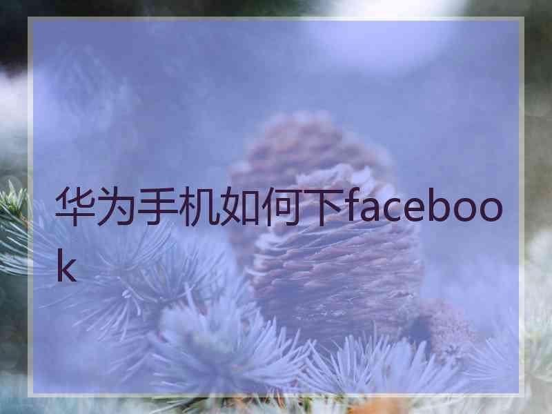 华为手机如何下facebook