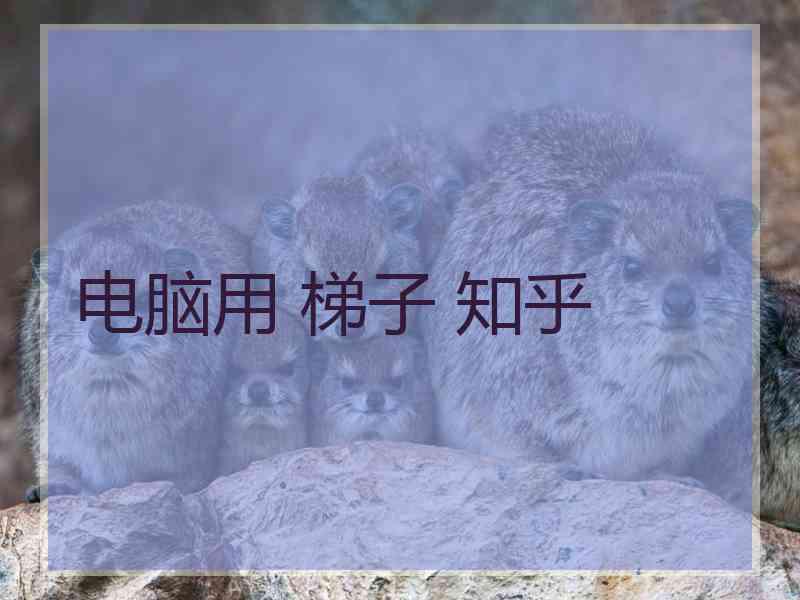 电脑用 梯子 知乎