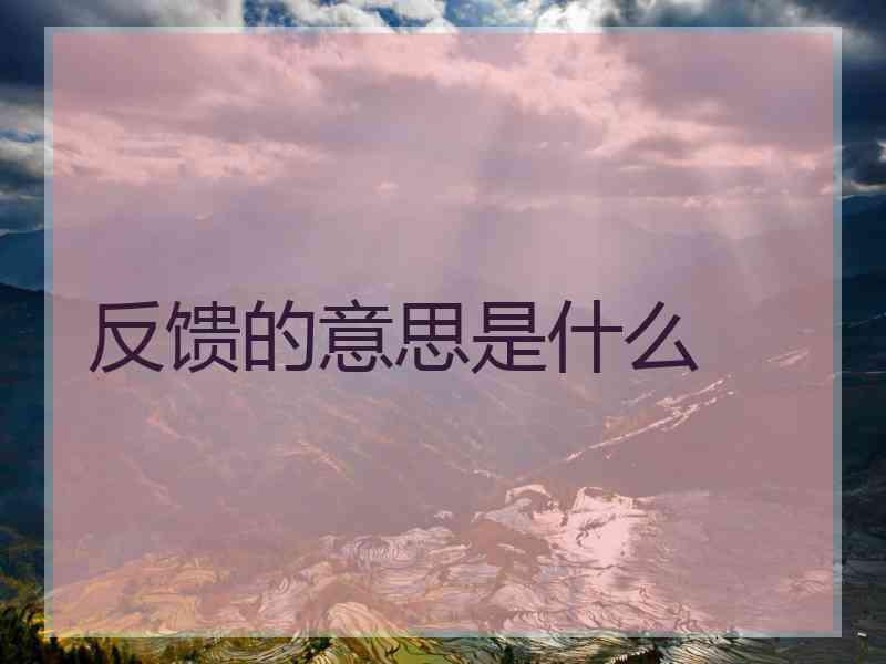 反馈的意思是什么
