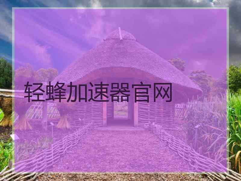 轻蜂加速器官网
