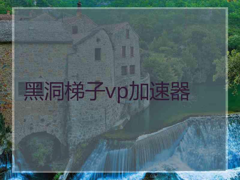 黑洞梯子vp加速器