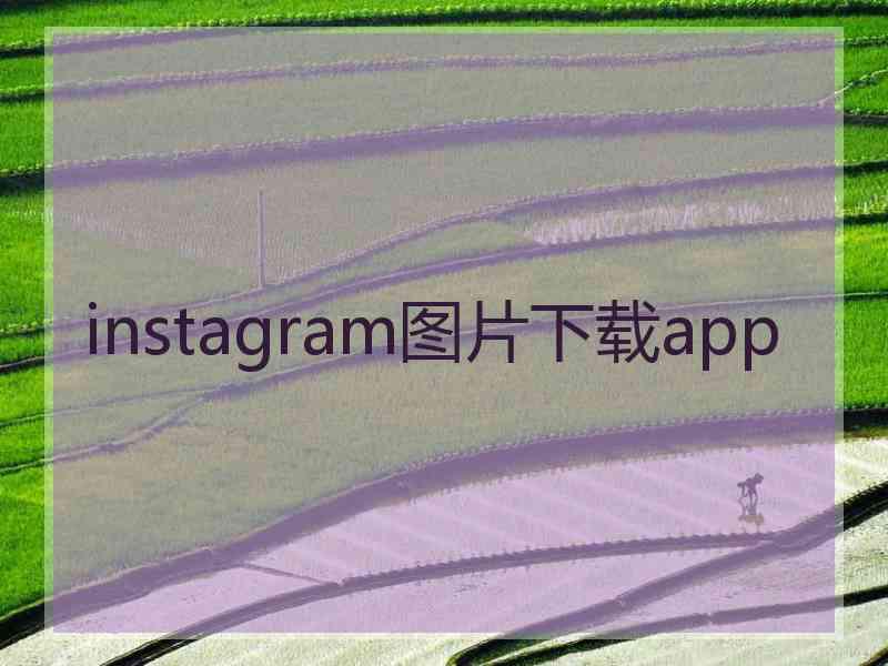 instagram图片下载app