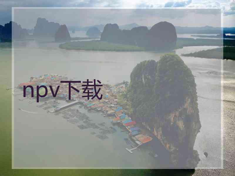 npv下载