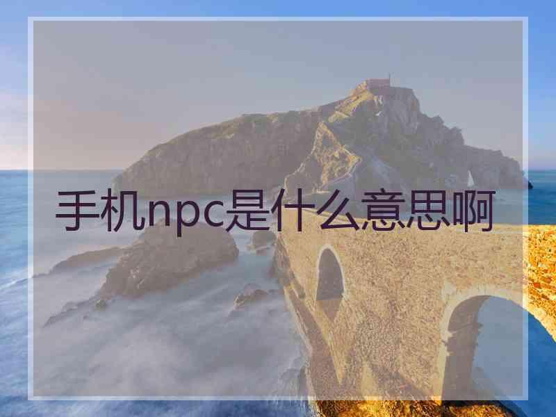 手机npc是什么意思啊