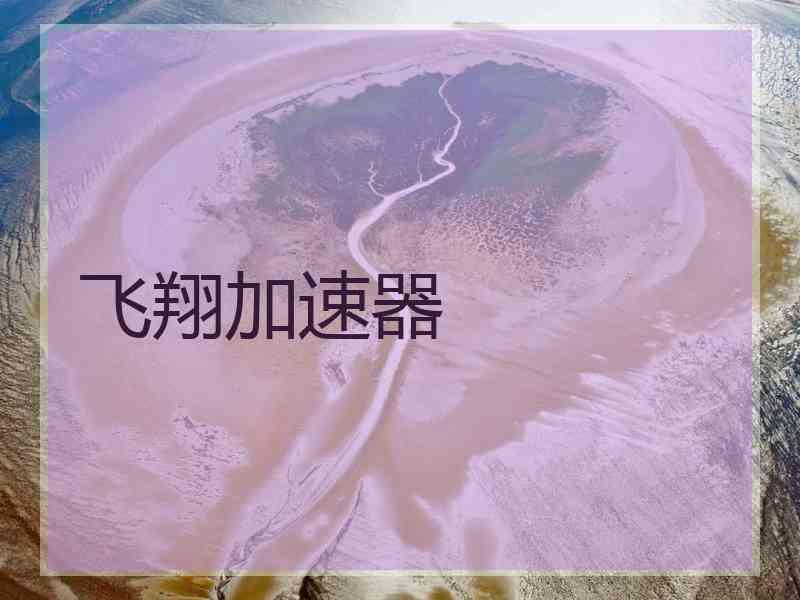 飞翔加速器