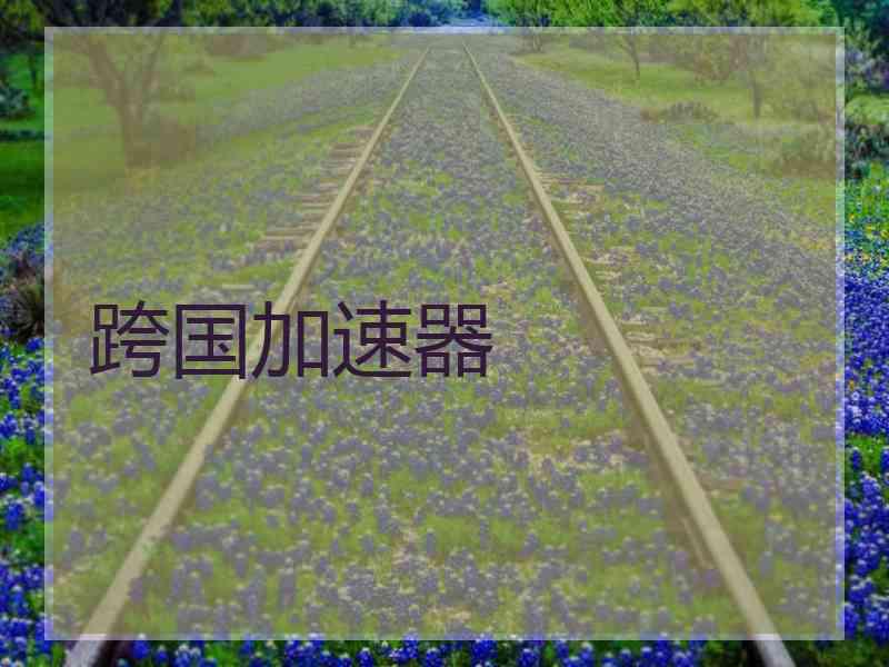 跨国加速器