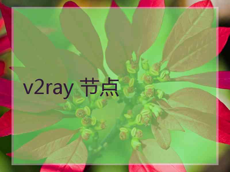 v2ray 节点