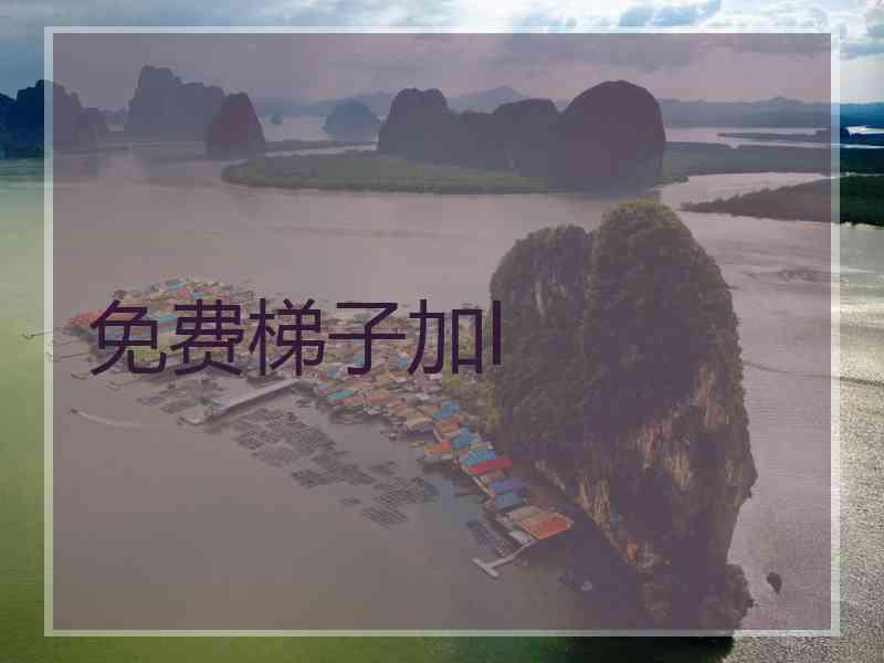免费梯子加l