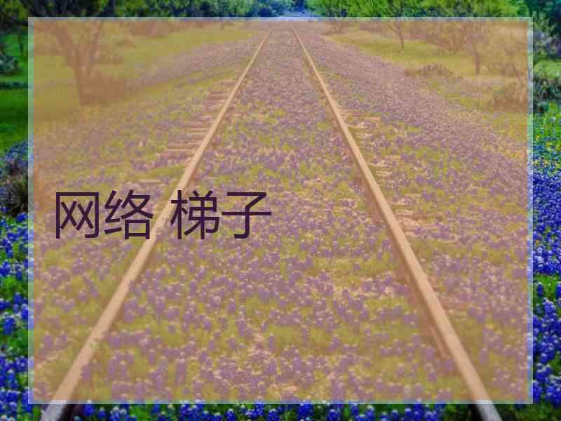 网络 梯子