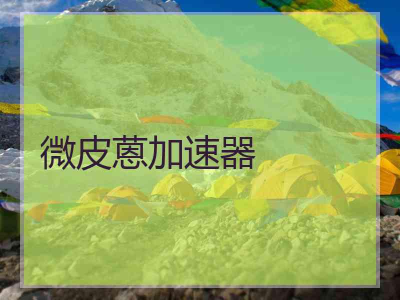 微皮蒽加速器