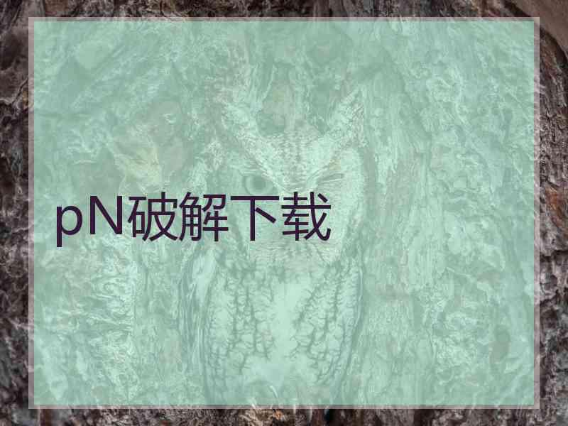 pN破解下载