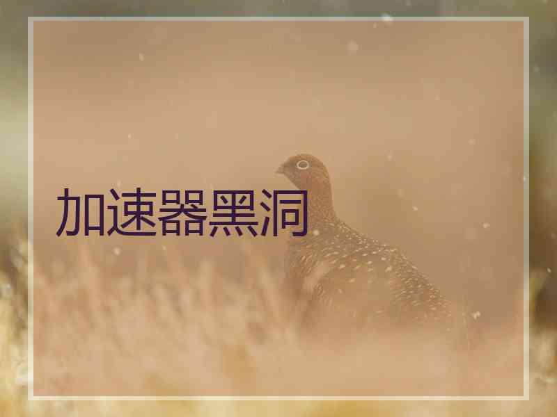 加速器黑洞