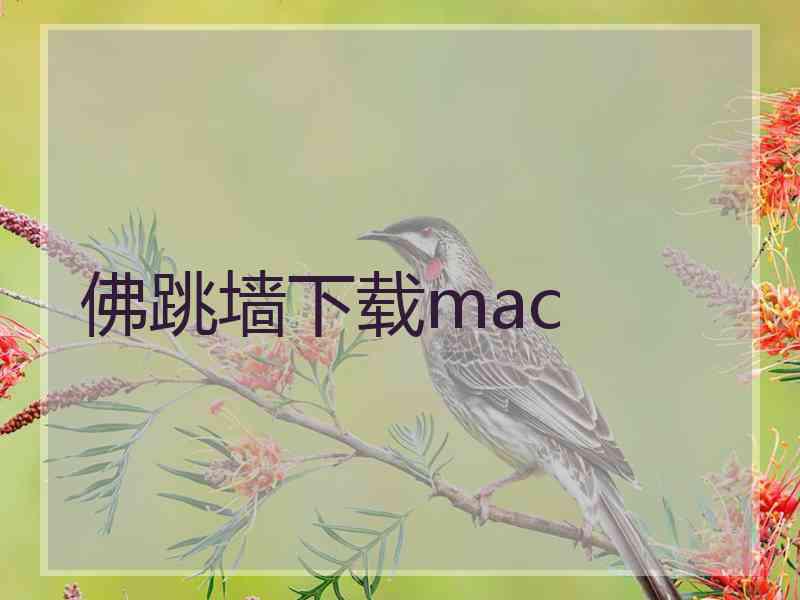 佛跳墙下载mac