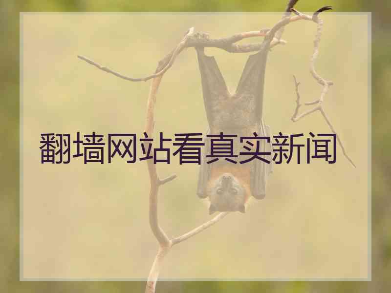翻墙网站看真实新闻