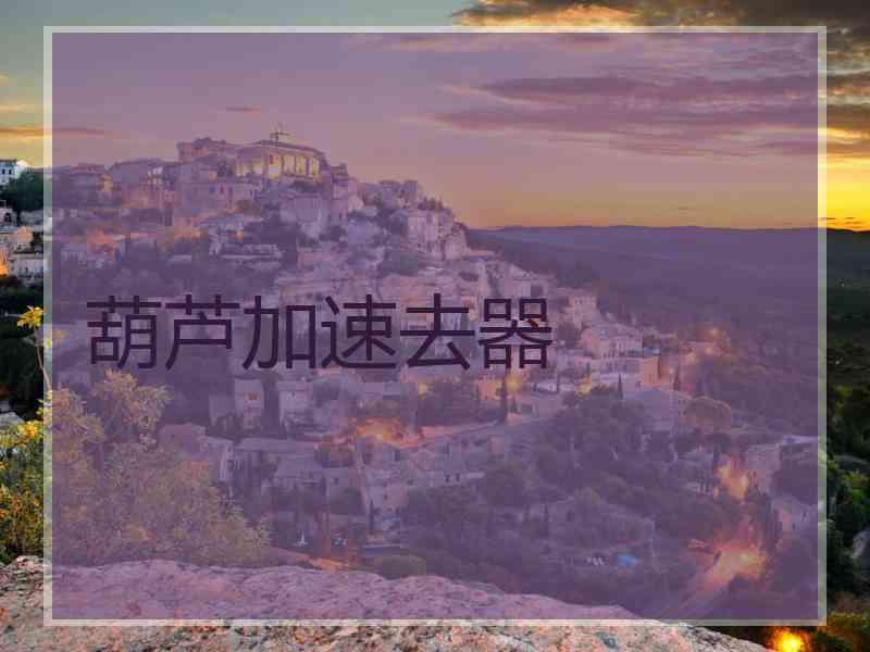 葫芦加速去器