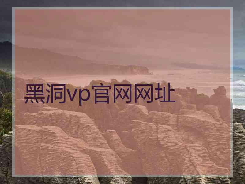 黑洞vp官网网址