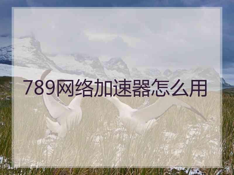 789网络加速器怎么用