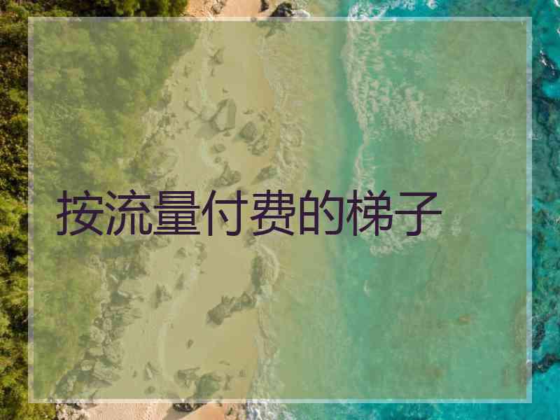 按流量付费的梯子