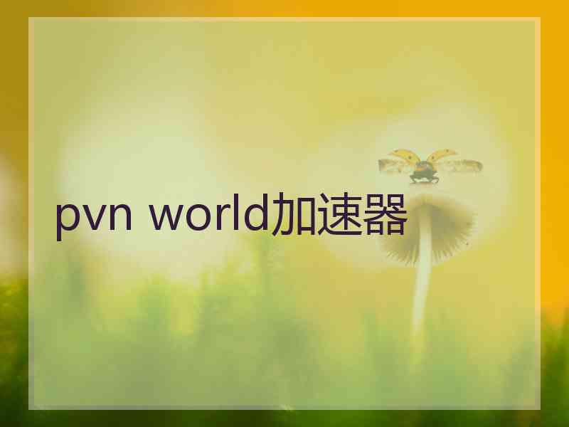 pvn world加速器
