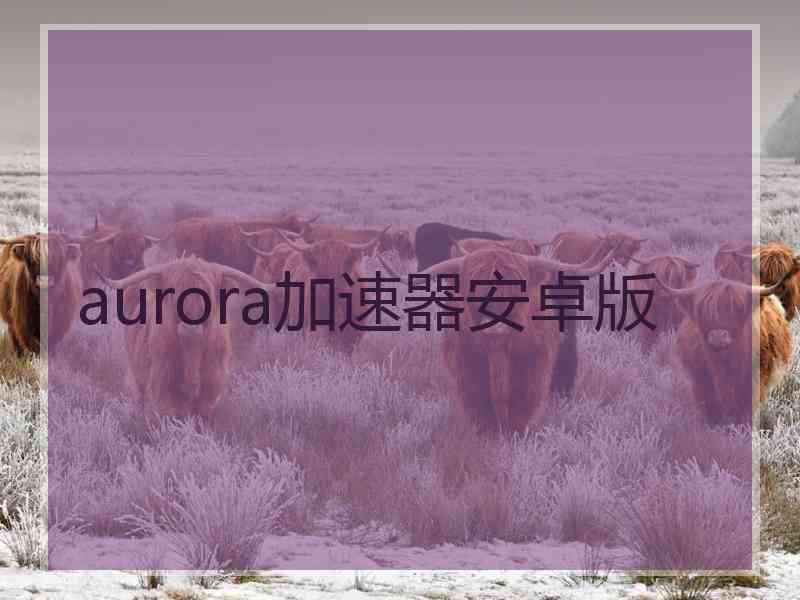 aurora加速器安卓版