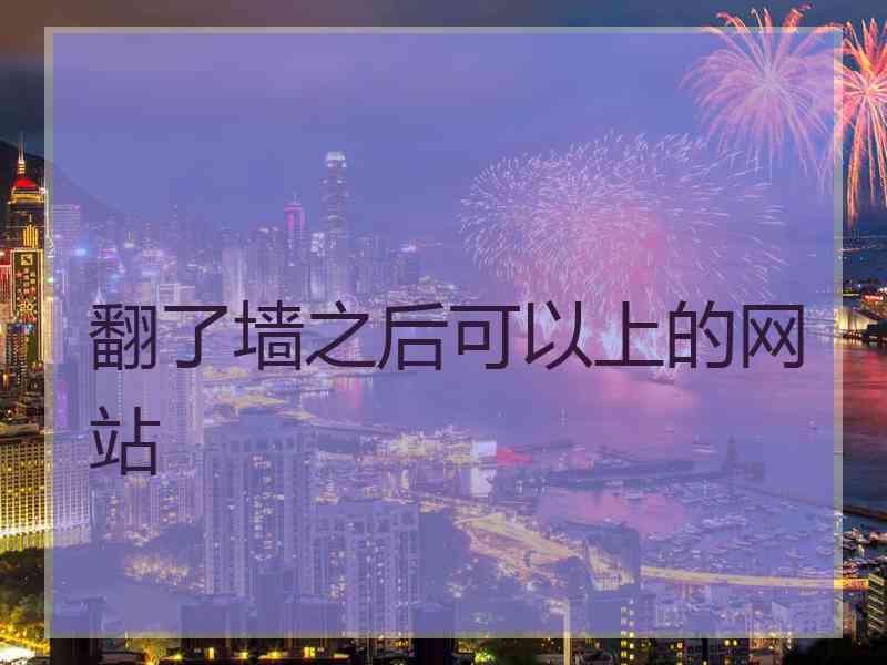 翻了墙之后可以上的网站
