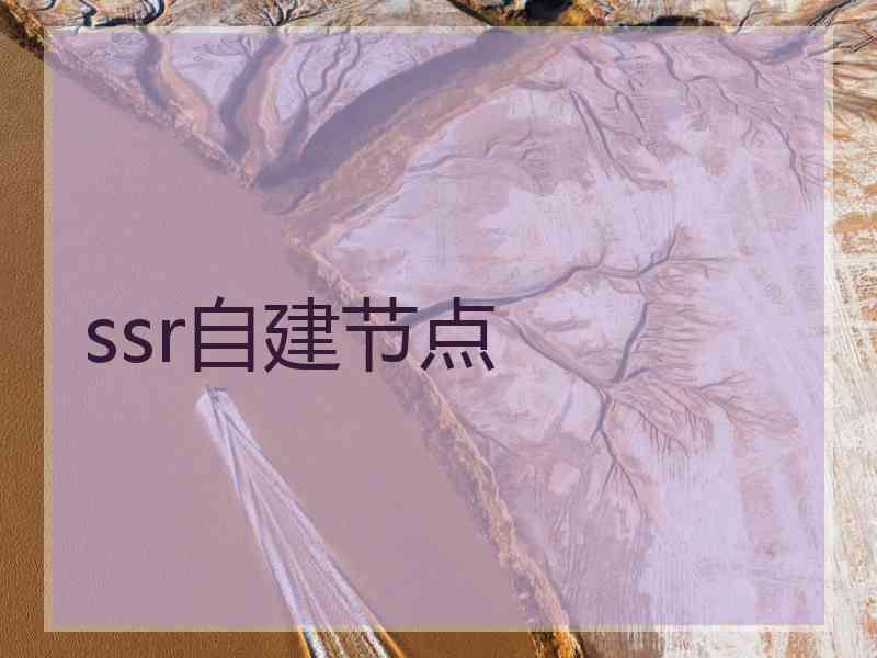 ssr自建节点