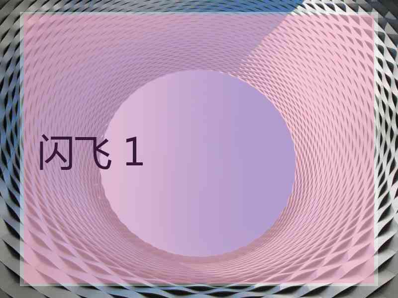 闪飞 1
