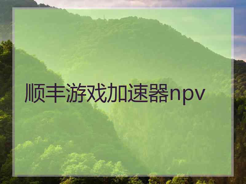 顺丰游戏加速器npv